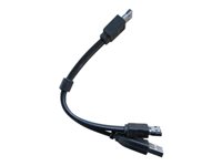 iMicro - eSATA cable - eSATA (M) to USB, eSATA - 6 in - gold flashed contacts - black